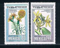 [Mexican Flora and Fauna, type BHC]