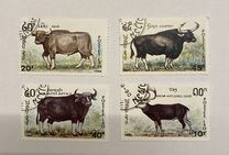 [Mammals, סוג AUF]