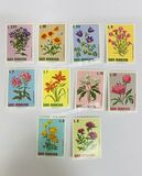 [Flowers, typ YF]