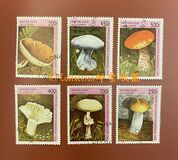 [Fungi, tegund AST]