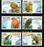 [Birds, प्रकार BWF]