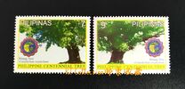 [Tourism - Oldest Tree in the Philippines, type IVP]