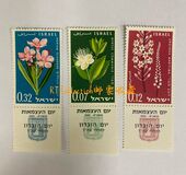 [The 13th Anniversary of Independence. Flowers, type HI]