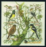 [Birds, प्रकार BCA]