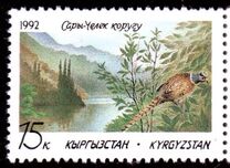 [Sary-Chelek Nature Reserve, type A]