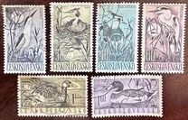 [Water Birds, type YY]