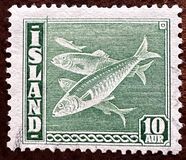 [Fish, tip BS2]