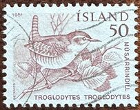 [Birds - Wren, Golden Plover and Raven, 유형 ME]