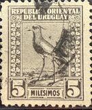 [Southern Lapwing, type FO]