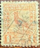 [Southern Lapwing, type FV1]
