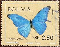 [Butterflies, Tipe OL]