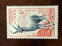 [Local Motives, type BP2]