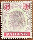 [Tiger - New Value, type D2]