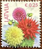 [Definitives - Flowers - "2022" Imprint, type ZY2]