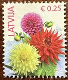 [Definitives - Flowers - "2022" Imprint, type ZY2]