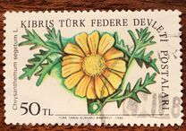 [Flowers, Tipi DI]