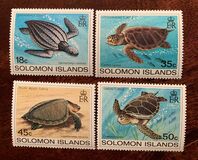 [Turtles, Tip MS]