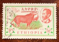 [Ethiopian Fauna, тып ML]