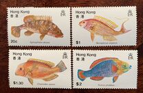 [Fish, 类型 GN]