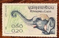 [Laotian Elephants, tegund BW]