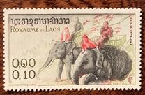 [Laotian Elephants, tegund BV]