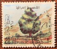 [Tree Week, Tüüp DH1]
