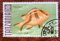 [Marine Life - Fish, tyyppi AC]