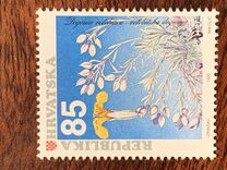 [Local Plants, نوع DN]