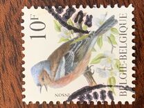 [Birds, type BNI]