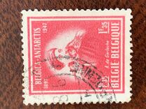 [Antarctic, típus NB]