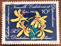 [Orchids, タイプ OX]