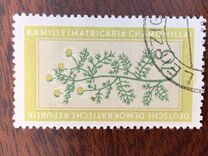 [Medicinal Plants, տեսակ OL]
