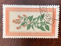 [Medicinal Plants, տեսակ OM]