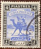 [Camel Postman - New Arabic Inscription, type R2]