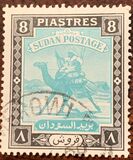 [Camel Postman - New Arabic Inscription, type R5]