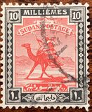 [Camel Postman - New Arabic Inscription, jenis Q5]