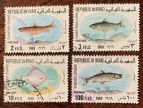 [Fish, type GT]