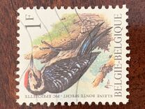 [Birds, type BNH]
