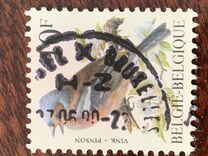 [Birds, type BNI]