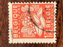 [National Industry, type NP]