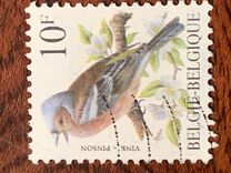 [Birds, type BNI]