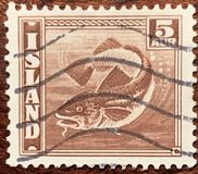 [Fish, tegund BR1]