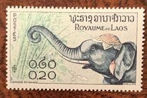[Laotian Elephants, tegund BW]