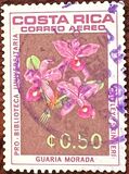 [Airmail - University Library - Orchids, тып ON]