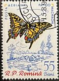 [Butterflies & Moths, Tipi BTJ]