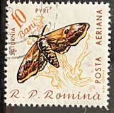 [Butterflies & Moths, Tipi BTG]
