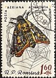 [Butterflies & Moths, Tipi BTK]