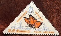 [Butterflies & Moths, Tipi BTI]