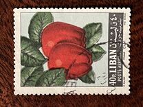 [Airmail - Fruits, ประเภท JN]