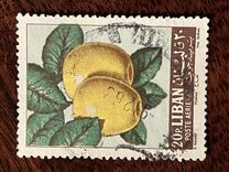 [Airmail - Fruits, ประเภท JL]